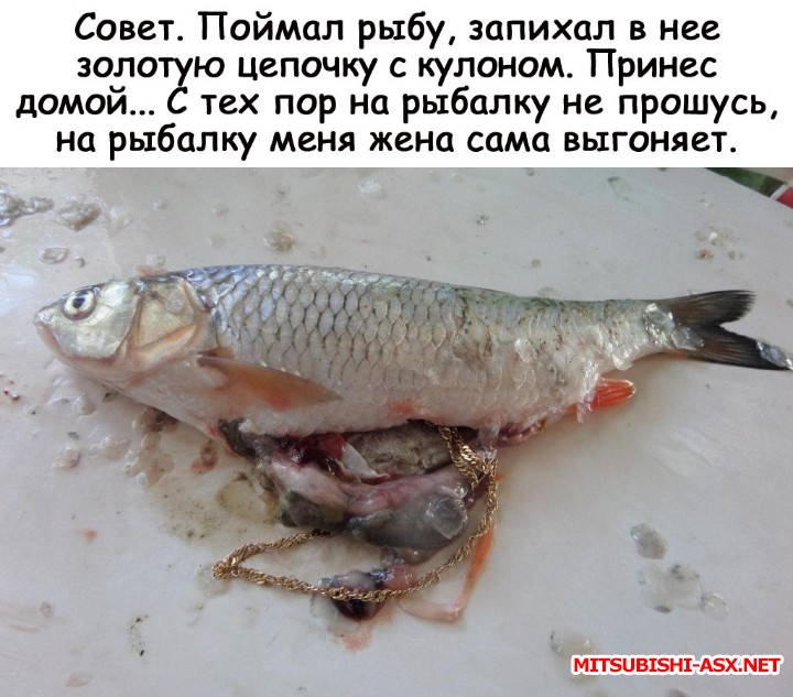Рыбалка - image (5).jpg